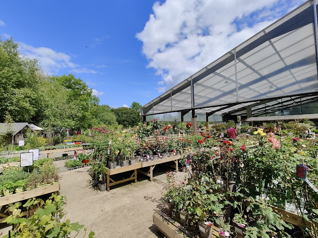 Greenhouse cafe - Gorey