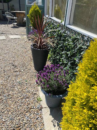 Quigleys Bar - Wexford