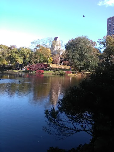 Comentarii opinii despre Maisie's Bar Dungarvan