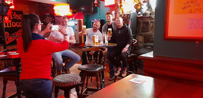 Comentarii opinii despre The Moose