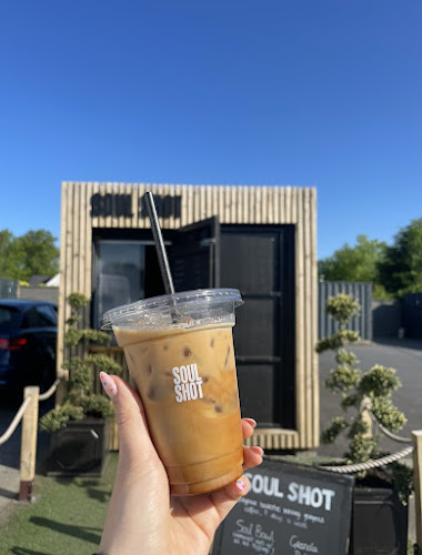 Comentarii opinii despre Soul Shot