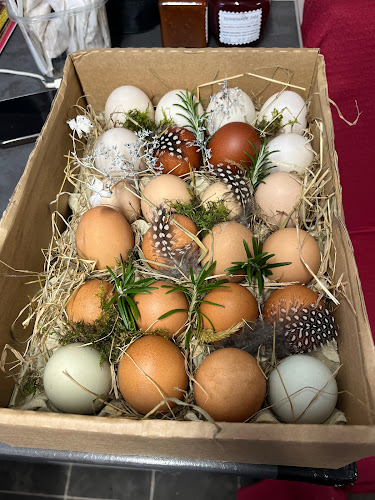 Digby Bridge Cafe - Hospitality and gastronomy