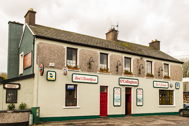 Opinii despre O'Callaghans Bar & Guest House în Cork - Hospitality and gastronomy