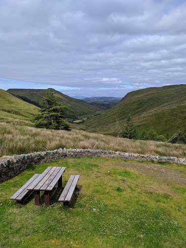 Pirates of the Coffeebean - Hospitality and gastronomy