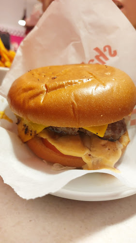 Comentarii opinii despre Shake Dog