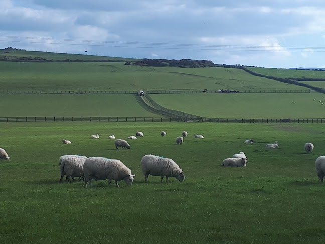 1 Market Square, Dunmanway North, Co. Cork