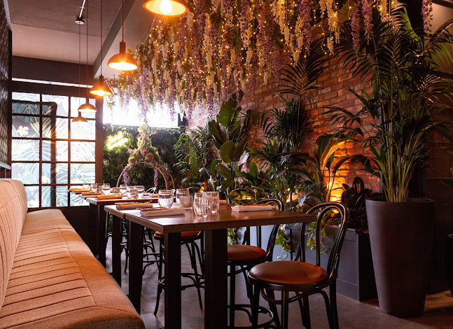 Social Bar and Restaurant - Hospitality and gastronomy