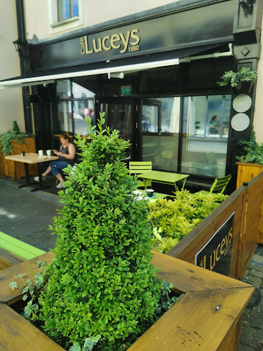 Lucey's Café 1880