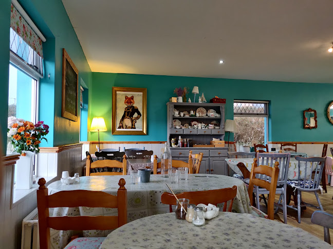 The Salty Fox - Bundoran