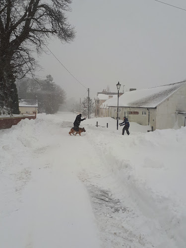 Comentarii opinii despre The Anvil