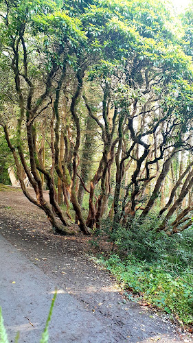 Comentarii opinii despre Saddlers Pub