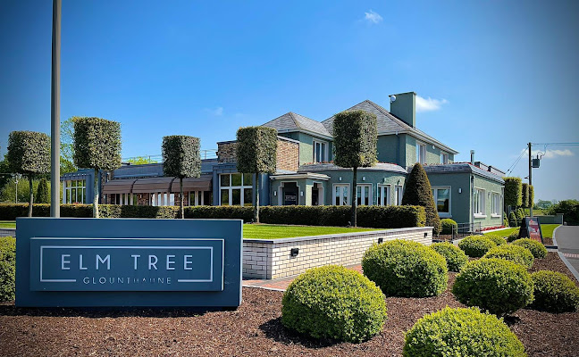 Opinii despre The Elm Tree Glounthaune în Cork - Hospitality and gastronomy