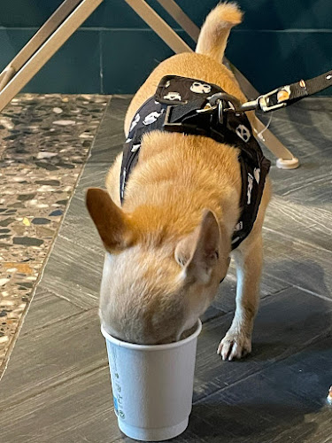 Main St, Johnstown, Enfield, Co. Meath