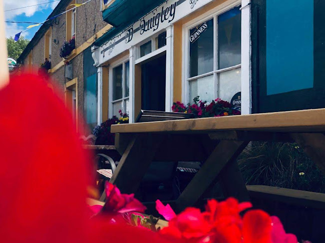 Quigleys Bar - Hospitality and gastronomy