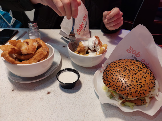 Shake Dog - Limerick