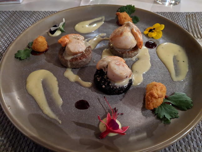 Comentarii opinii despre The Brown Morel