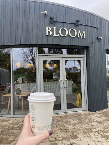 Comentarii opinii despre ‎BLOOM‎ Ferrybank