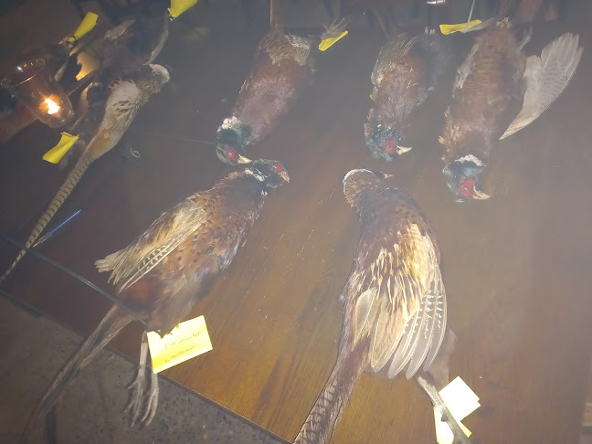 Newtown Lower, Faugheen, Co. Tipperary