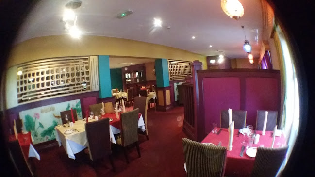 Comentarii opinii despre The Silver Oak