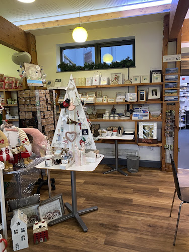 Comentarii opinii despre teaSHED