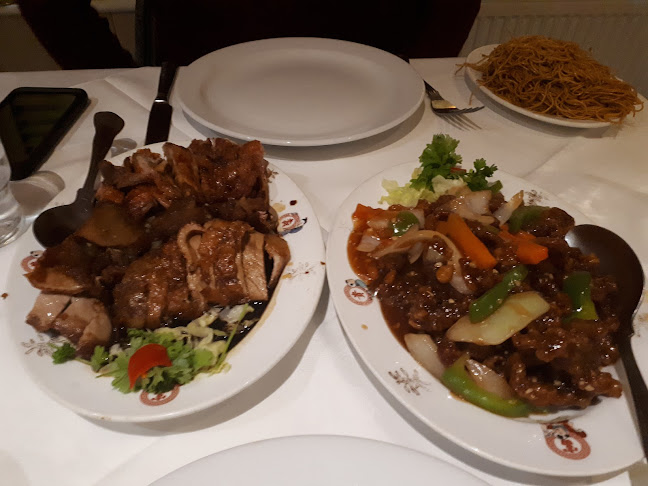 Phoenix Oriental Restaurant - Hospitality and gastronomy