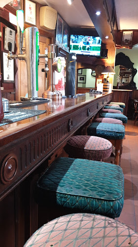 Opinii despre Paddy's Country Pub în Gowran - Hospitality and gastronomy