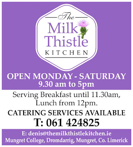 The Milk Thistle kitchen - Mungret