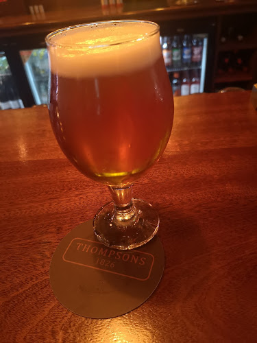 Comentarii opinii despre Thompsons Cork