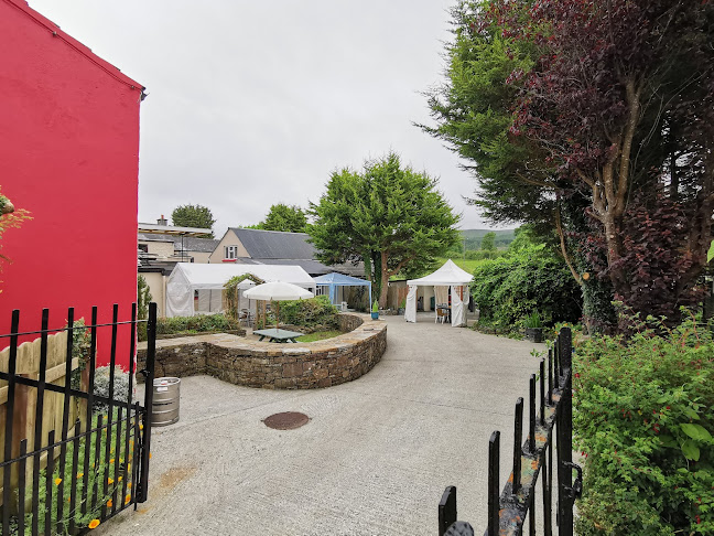 Comentarii opinii despre Harp and Shamrock Bar