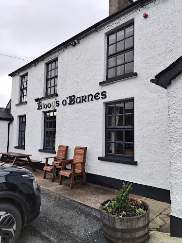 Comentarii opinii despre Biddy's O'Barnes