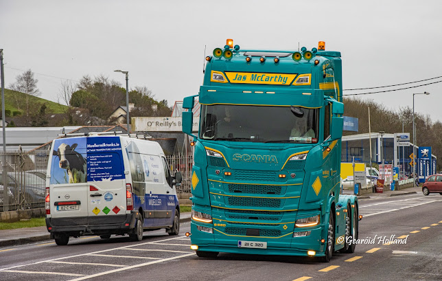 Opinii despre The Ash Tree în Bandon - Hospitality and gastronomy