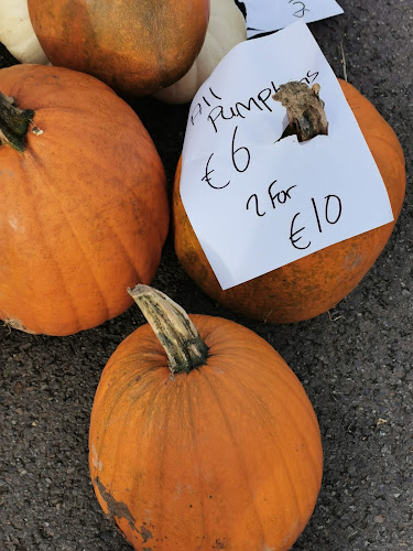 Esmonde St, Gorey corporation lands, Gorey, Co. Wexford