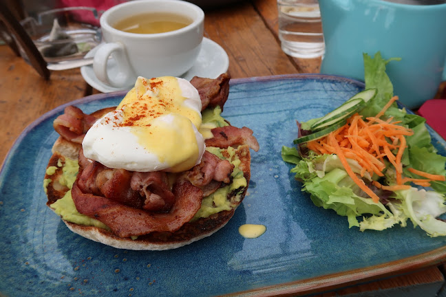 Comentarii opinii despre Curious Cat Café