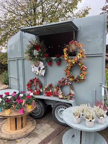 ‎BLOOM‎ Ferrybank - Waterford