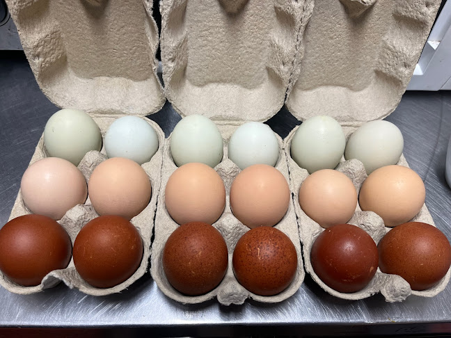 Opinii despre Digby Bridge Cafe în Naas - Hospitality and gastronomy