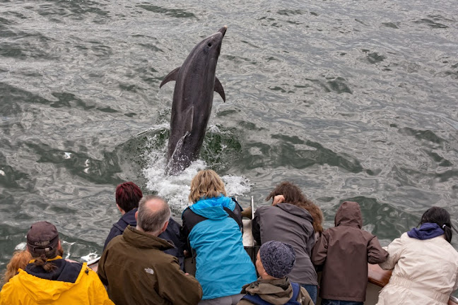 The Long Dock Pub and Restaurant - Carrigaholt