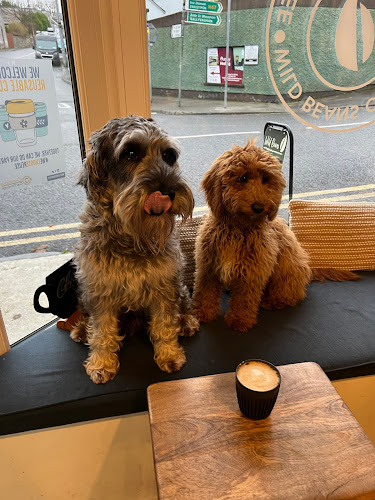 Comentarii opinii despre Wild Beans