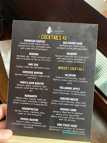 Comentarii opinii despre Cat and The Fiddle gastropub Kilkenny