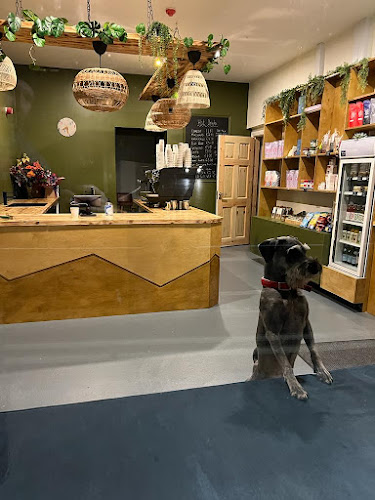 Wild Beans - Hospitality and gastronomy