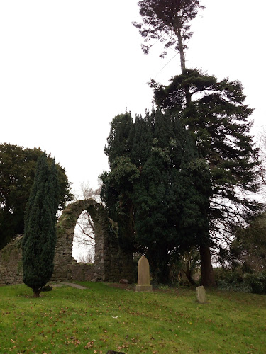 The Johnstown Inn - Naas