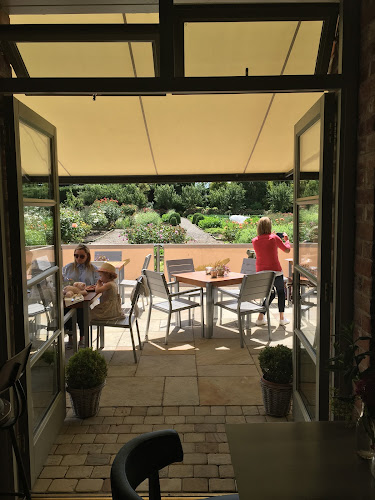 Comentarii opinii despre The Duck Restaurant