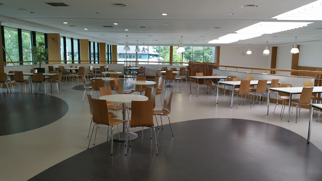 Phoenix Restaurant - Hospitality and gastronomy