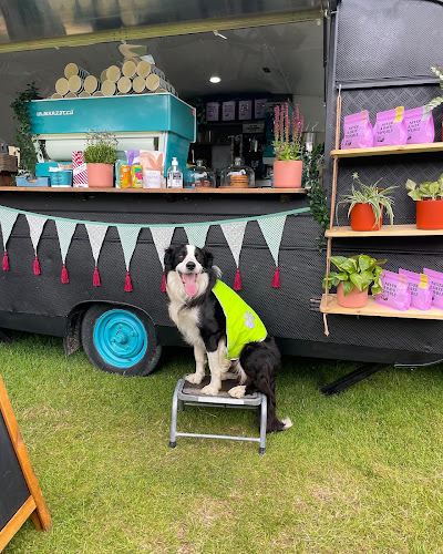 Comentarii opinii despre Fetch Coffee