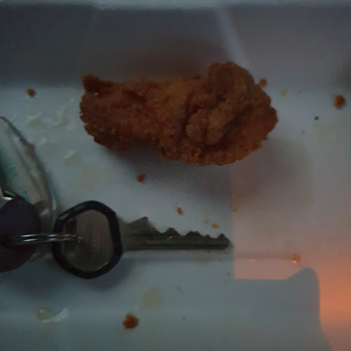 O'Reilly's Food Truck - Hospitality and gastronomy