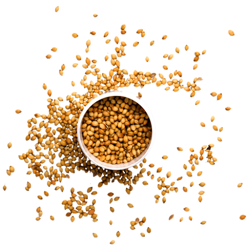 Opinii despre Green Saffron Spices în Midleton - Hospitality and gastronomy