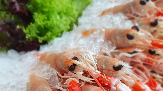 Comentarii opinii despre Fine Fins