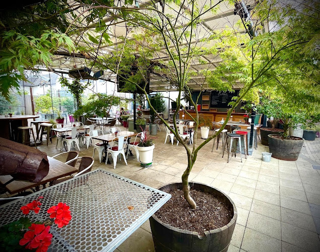 Punch’s Bar | Punch's Cross - Hospitality and gastronomy