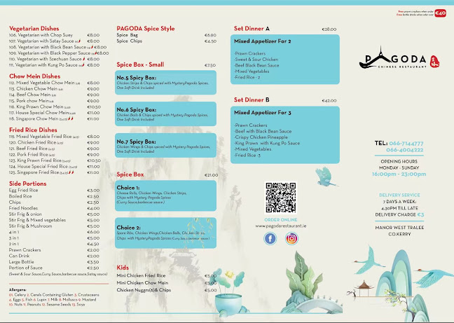 Pagoda Chinese Restaurant - Tralee