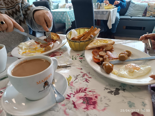 Tory's Cafe - Hospitality and gastronomy