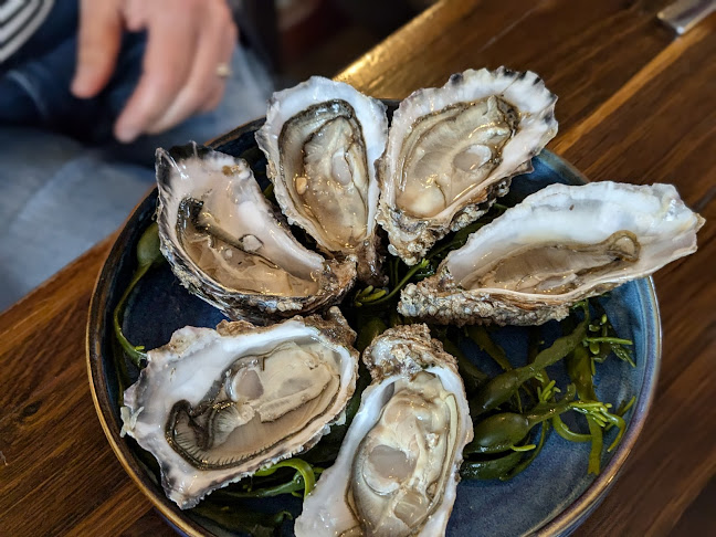 Opinii despre PJ O Hare's Carlingford în Dundalk - Hospitality and gastronomy